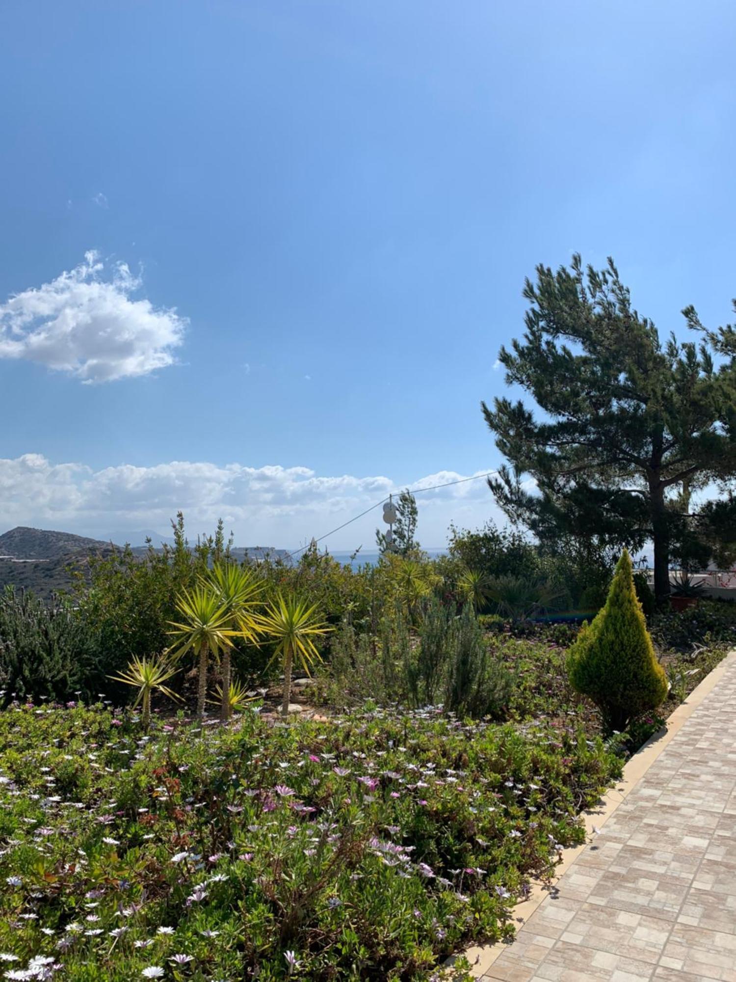 Myrtos Villa Aliki מראה חיצוני תמונה