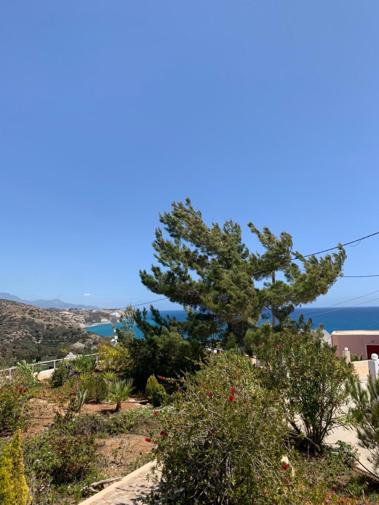 Myrtos Villa Aliki מראה חיצוני תמונה